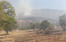 آتش‌سوزی در مناطق سبزکوه و ارمند